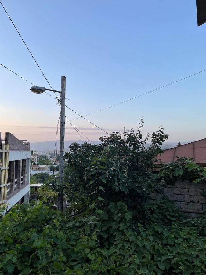 Guest House Zemeli Tbilisi Exterior photo